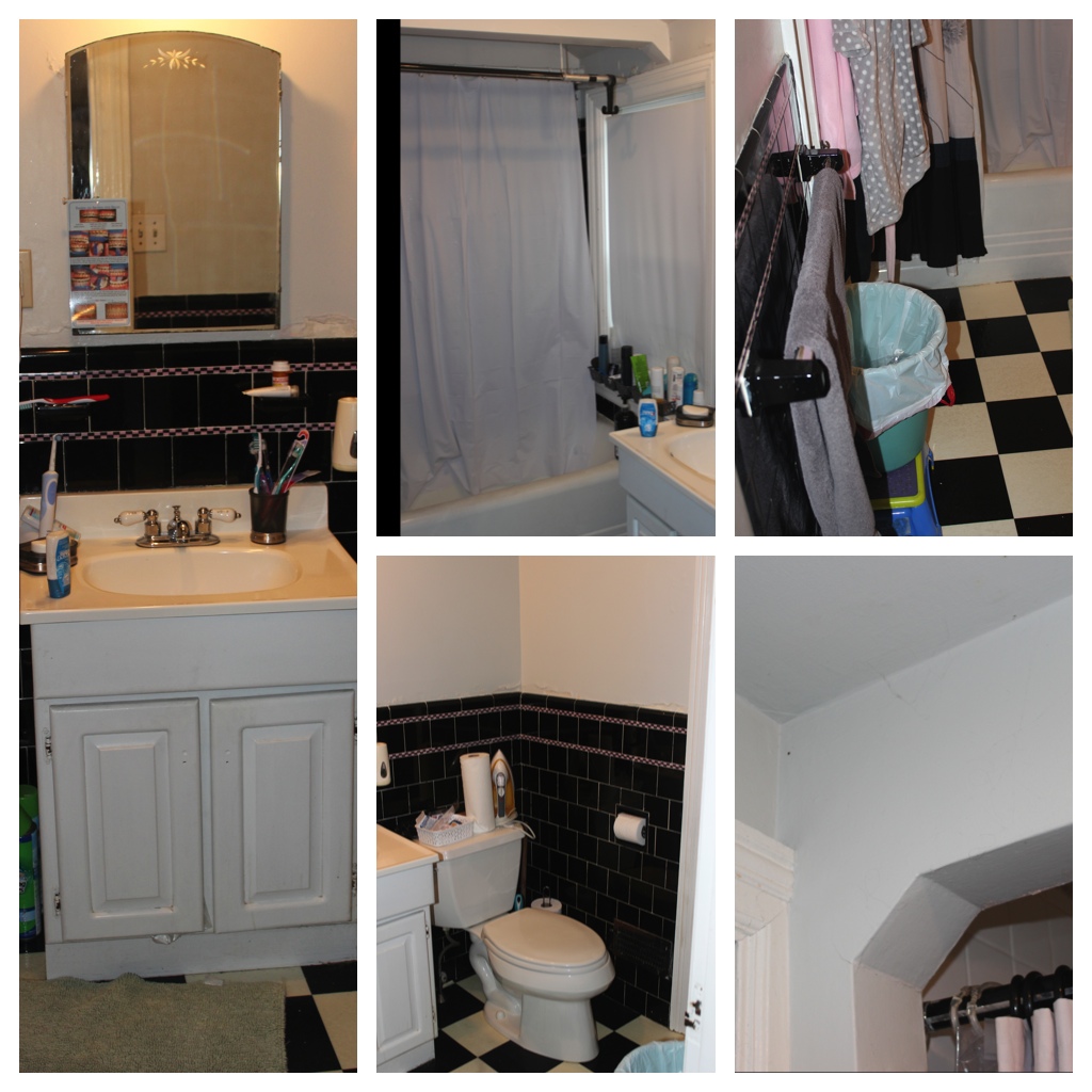 Bathroom Before Pictures 